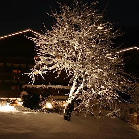 Hotel Senger 4*